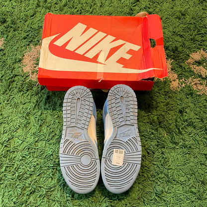 Nike Dunk Low 'UNC'