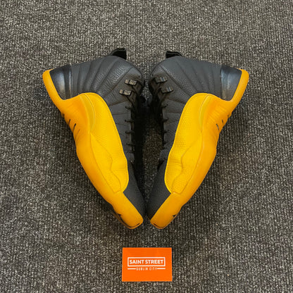 Air Jordan 12 'University Gold'