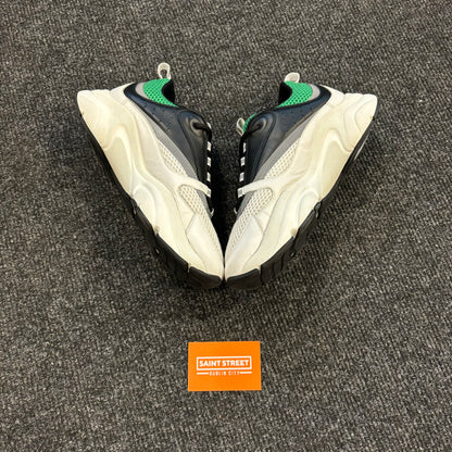 Dior B22 White/Black/Green