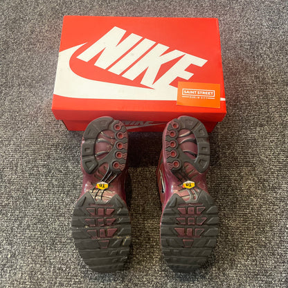 Nike Air Max Plus Bordeaux/Silver