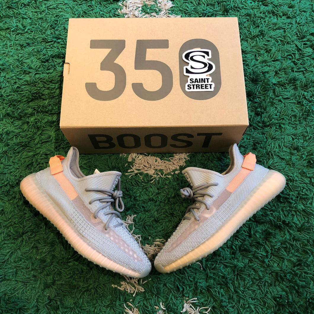 Adidas X Yeezy 350 'True Form'