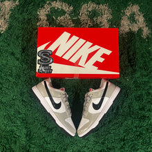 Load image into Gallery viewer, Nike Dunk Low &#39;Light Iron Ore&#39; (W)
