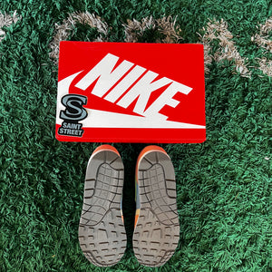 Nike Air Max 1 'Light Madder Root'