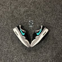 Load image into Gallery viewer, Nike Air Max 1 &#39;Atmos Elephant&#39;

